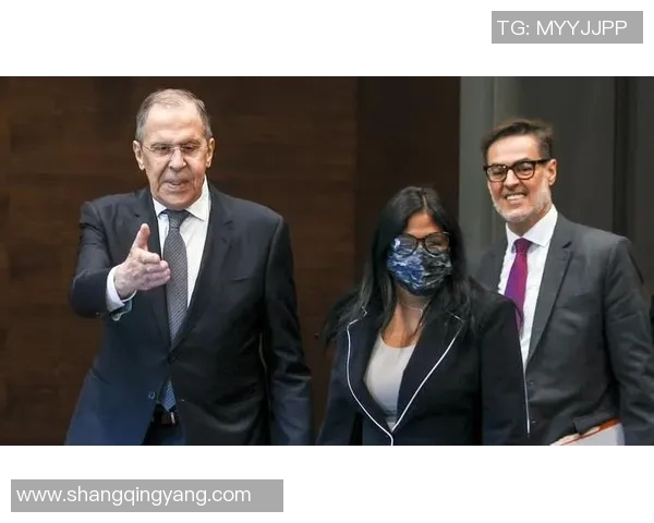 俄罗斯与委内瑞拉的多维度对比分析及未来发展趋势探讨